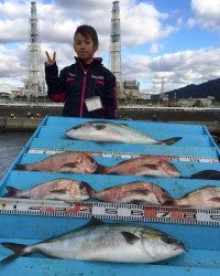 和歌山マリーナシティ海洋釣り堀　ブリ釣ったどー！