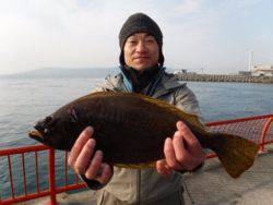 神戸市立平磯海づり公園　ヒラメ　記録賞！　45㎝