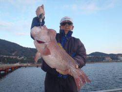 須磨海釣り公園　カゴ釣りでコブダイ72cm