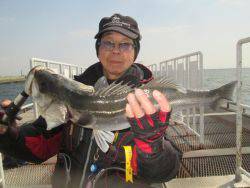 尼崎市立魚つり公園 シラサのウキ釣りで良型ハネ