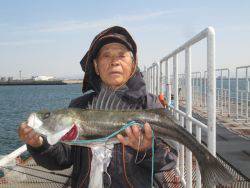 尼崎市立魚つり公園スズキ７０ｃｍオーバー