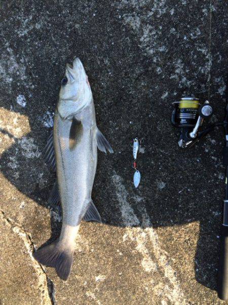 ひっさびさの釣果