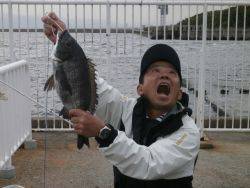 大阪南港海釣り公園　チヌ43cm