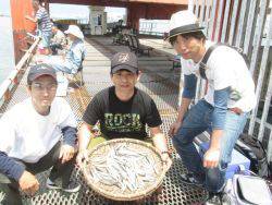 尼崎市立魚つり公園　カタクチイワシ700匹