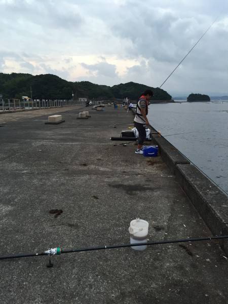 本島の波止   夜釣りのフカセ