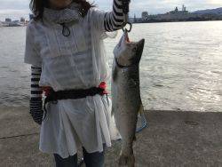 神戸で釣れる魚なの？