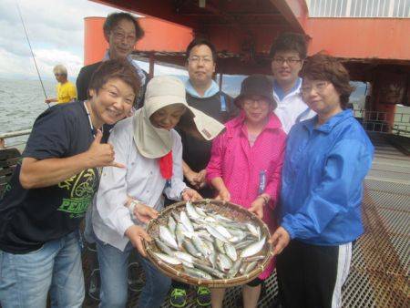 尼崎市立魚つり公園　サビキでアジ、イワシ