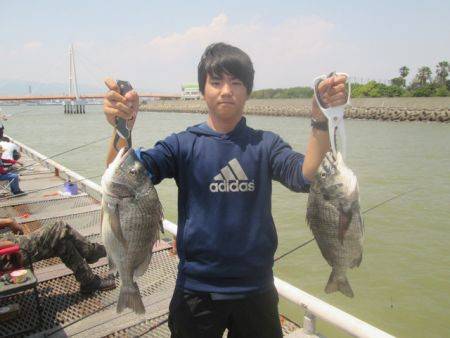 尼崎市立魚つり公園 サビキでサバ、イワシ、サッパ、アジ、コノシロ好釣