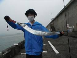 和歌山北港魚つり公園　タチウオ