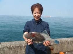 和歌山北港魚つり公園 アジ釣れてます