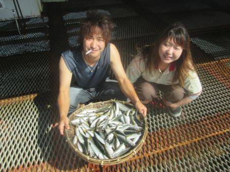 尼崎市立魚つり公園　アジ合計1200匹