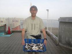 尼崎市立魚つり公園 午前中はアジが入れ喰い！