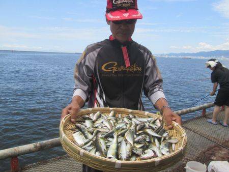 サビキで豆アジ超大漁！尼崎市立魚つり公園