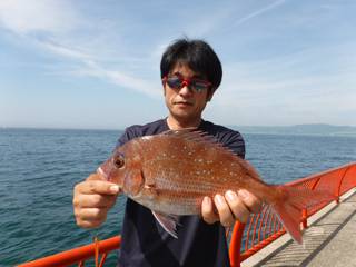 神戸市立平磯海づり公園　ウキ釣りでマダイ