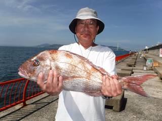 バイブレーションでマダイ！　平磯海づり公園