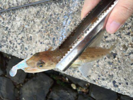 久しぶりの釣行