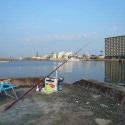 明石港へ釣行しました
