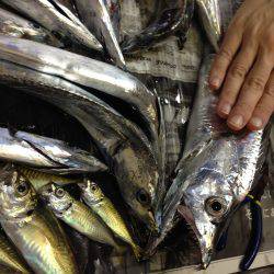 嫁さんも大満足の釣果