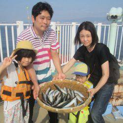 尼崎市立魚つり公園 釣果