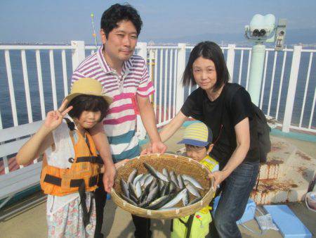 尼崎市立魚つり公園 釣果