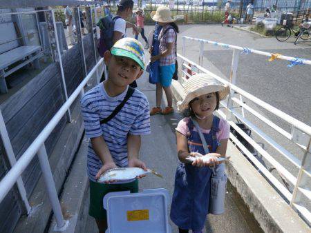 大阪南港海つり公園 釣果