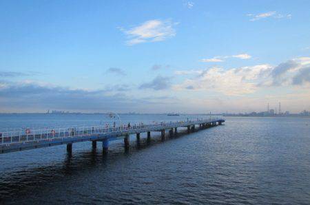 オリジナルメーカー海づり公園(市原市海づり施設) 釣果