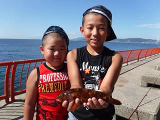 神戸市立平磯海づり公園　投げ釣りでアコウ