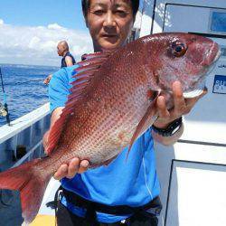 新幸丸 釣果