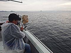 ふみ丸  釣果