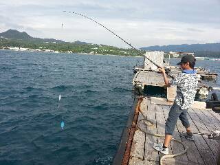 本部釣りイカダ 釣果