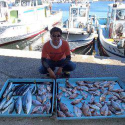 久六釣船 釣果