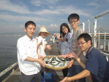 尼崎市立魚つり公園 釣果