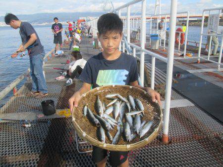 尼崎市立魚つり公園 釣果