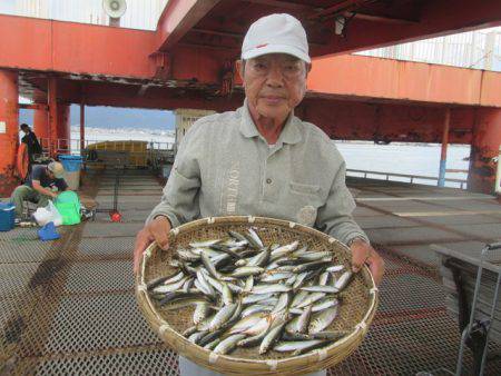 尼崎市立魚つり公園 釣果