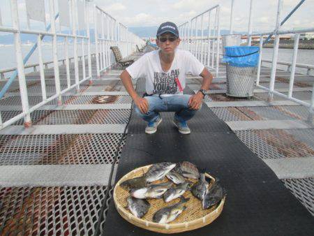 尼崎市立魚つり公園 釣果