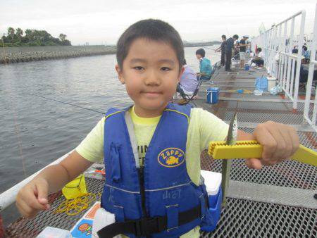 尼崎市立魚つり公園 釣果