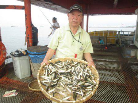 尼崎市立魚つり公園 釣果