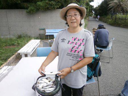 大阪南港海つり公園 釣果