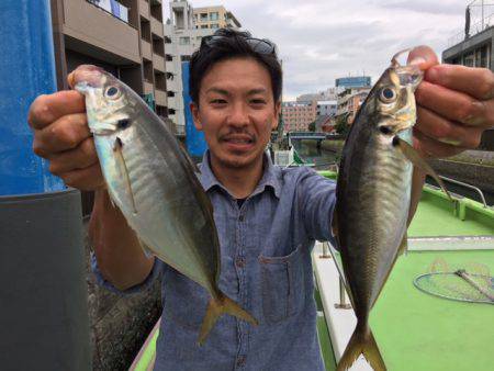 深川　吉野屋 釣果