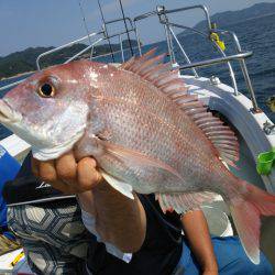 遊漁船　ニライカナイ 釣果