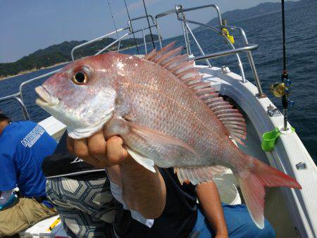 遊漁船　ニライカナイ 釣果