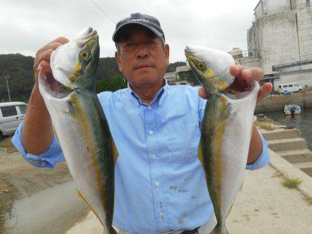 大進丸（愛知） 釣果