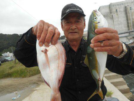 大進丸（愛知） 釣果