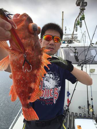 シーモンキー 釣果