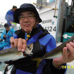 まとばや 釣果