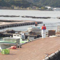 淡路じゃのひれフィッシングパーク 釣果