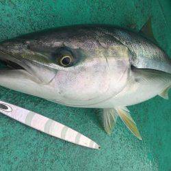 広進丸 釣果