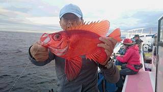 しまや丸 釣果