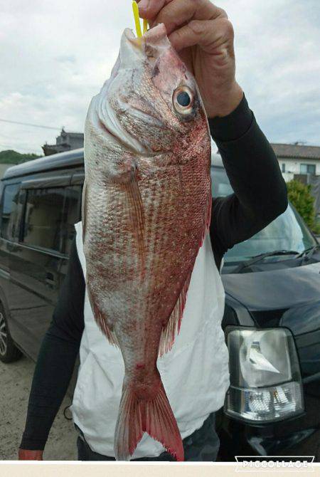 桑田観光 釣果