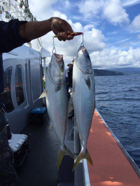 シーランチ 釣果